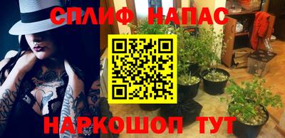 стаф Будённовск