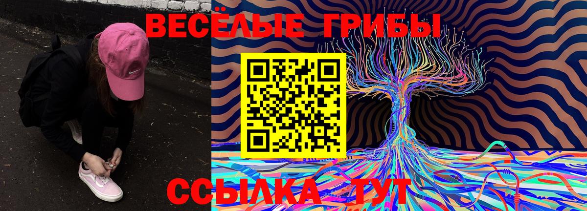 Псилоцибиновые грибы Psilocybe  Вход с VPN  Пыть-Ях 